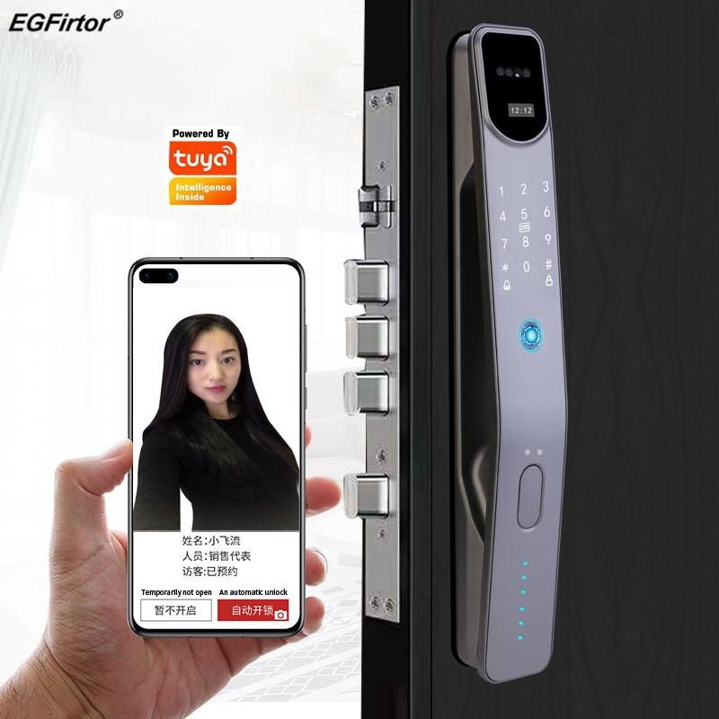 Tuya Wifi Electronic Fingerpri - огляд і ціна Smart Home Door Lock